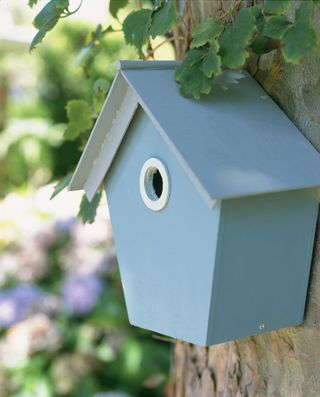 bird house design ideas: blue box with white detail
