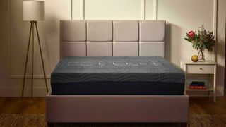 A Ziwi ZiPP mattress on a bedframe in a bedroom