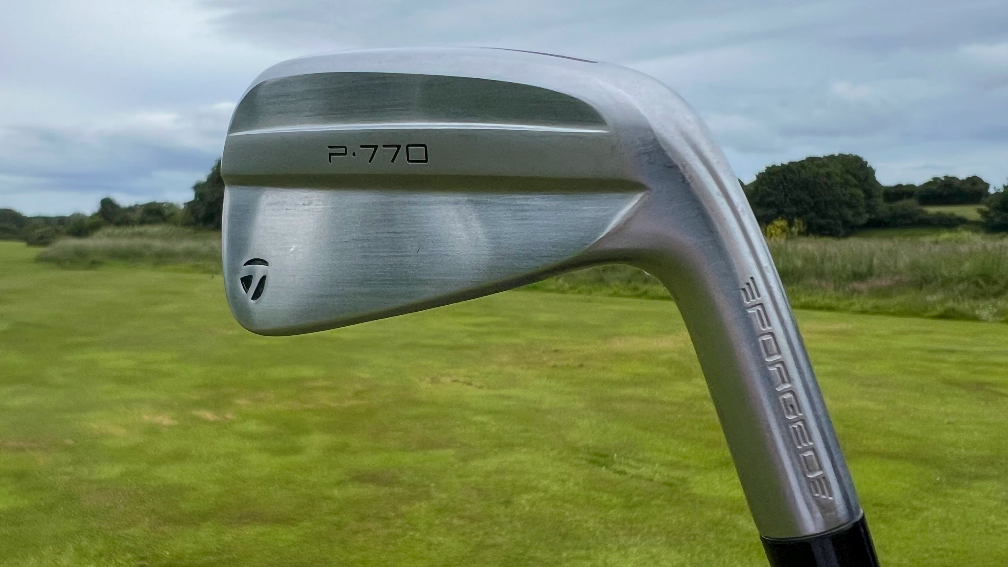 Photo of the TaylorMade P770 iron