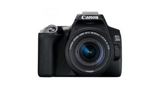 Best cheap camera: Canon EOS Rebel SL3 / 250D