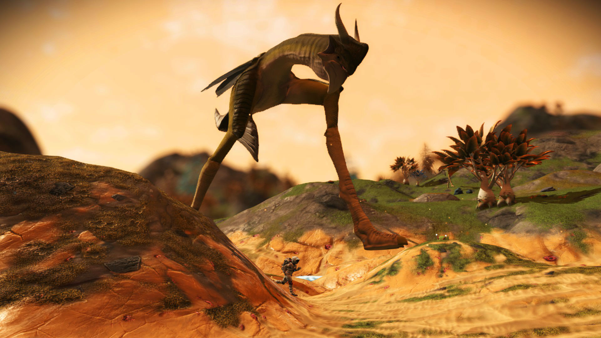 The most amazing No Man's Sky planets and aliens found in the Next ...