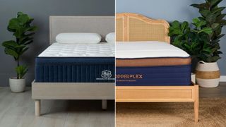 Navy and white Aurora Luxe mattress on bed frame next to green plant in sleep studio (left). Navy, white and bronze CopperFlex mattress on rattan bed frame next to green plant in sleep studio (right).