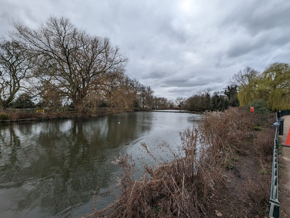 Google Pixel 7 Pro sample images