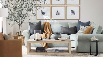 Cozy living room with grey sofa