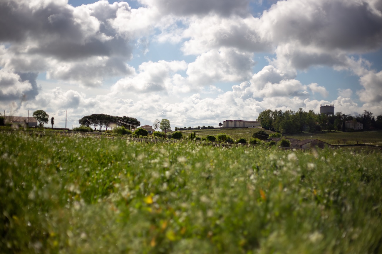 view over fields in St-Emilion
