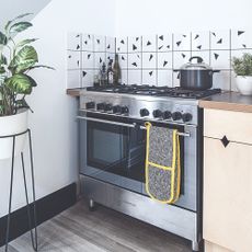 A kitchen with an oven and houseplants 