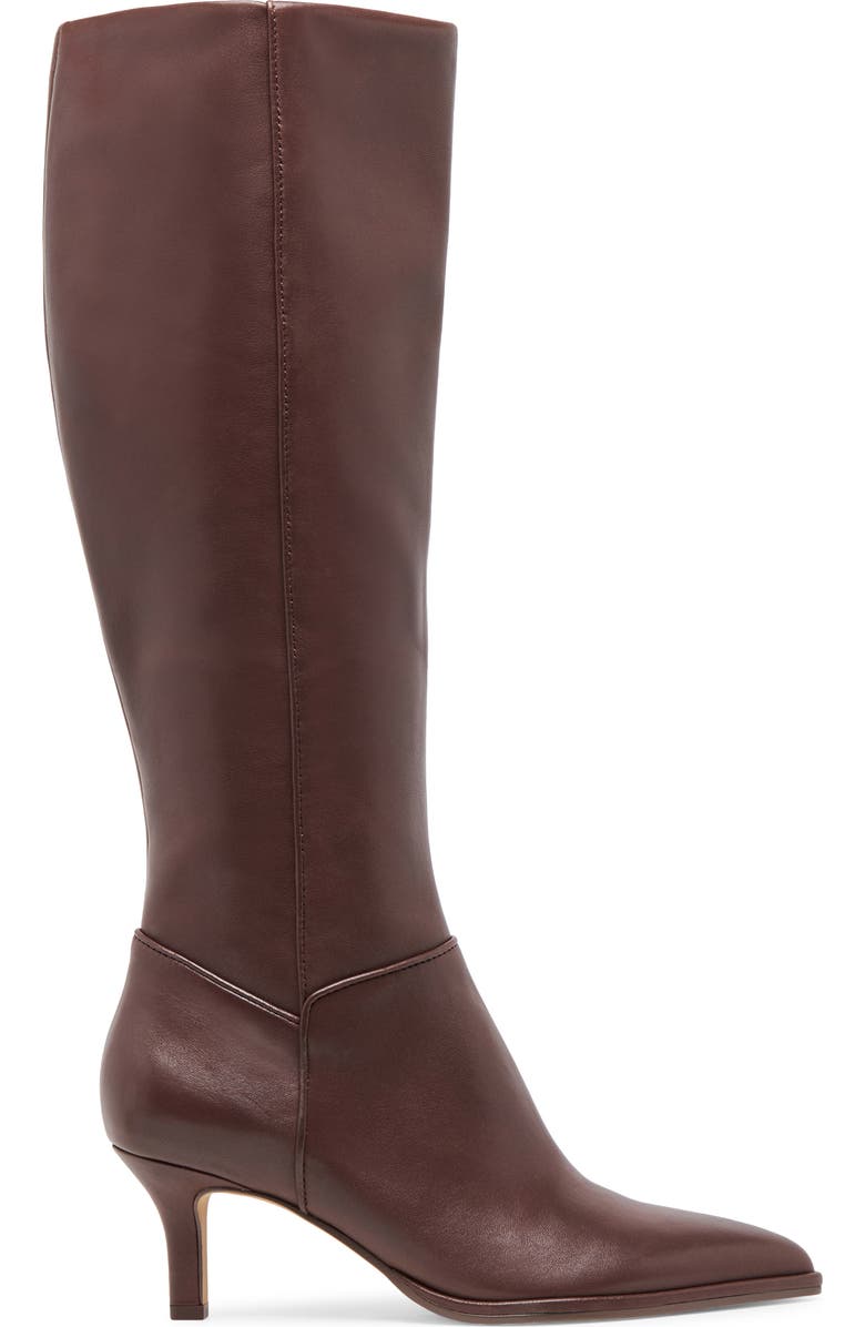 Aldy Pointed Toe Knee High Boot
