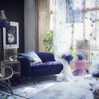 purple bedroom with birds in cage and white curtain