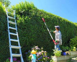 woman using a long reach hedge trimmer to cut a hedge