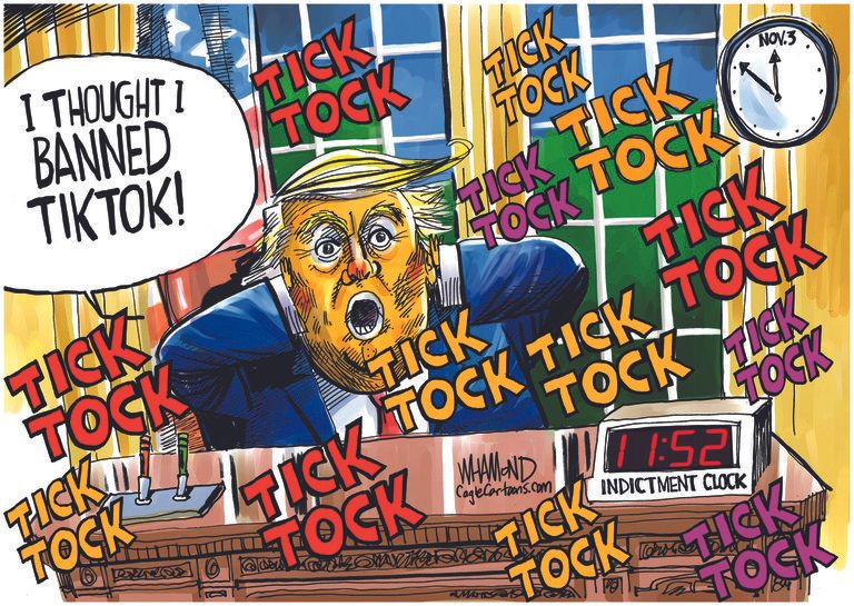 Political Cartoon U.S. Trump TikTok reelection 2020