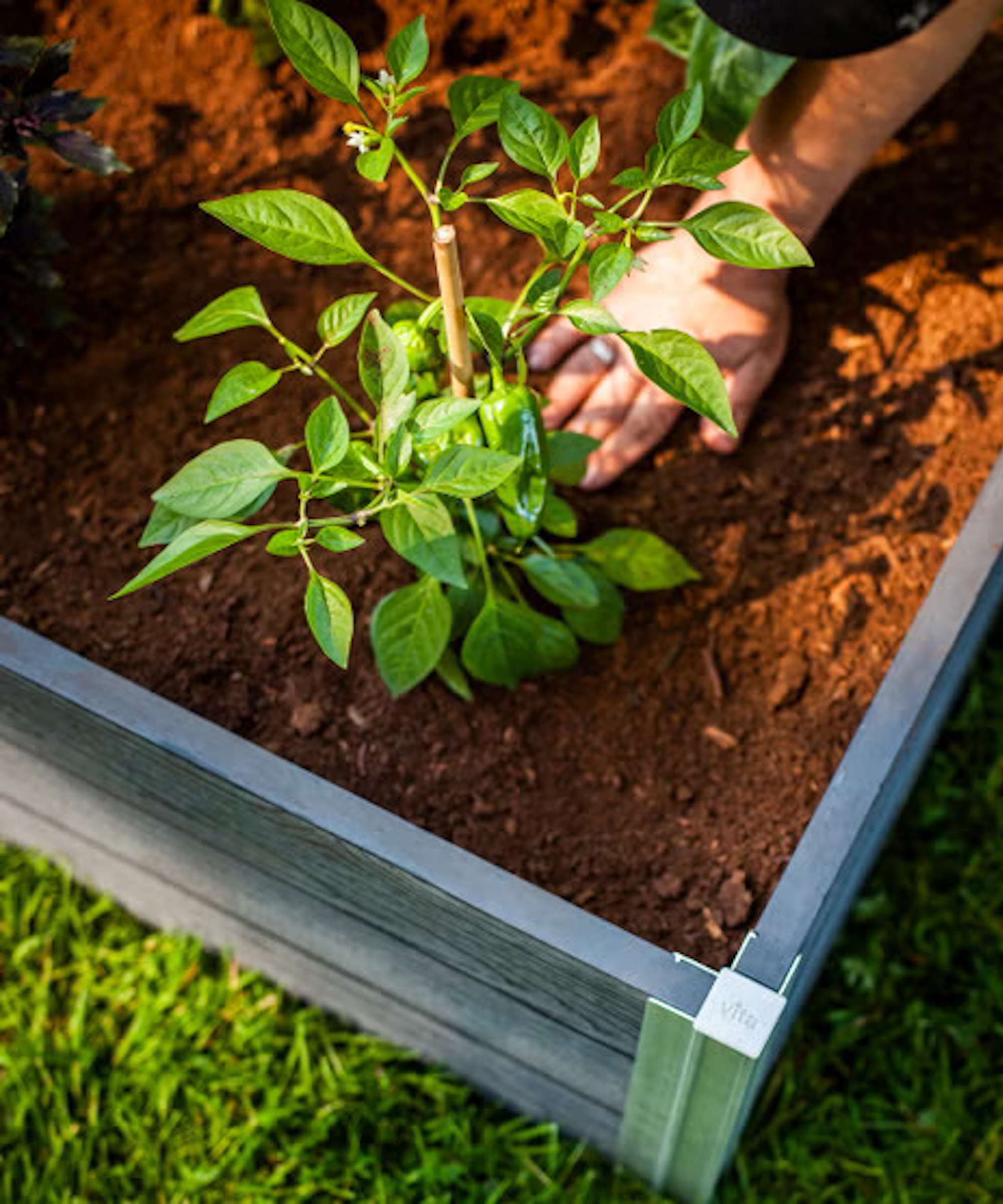 Costco raised beds