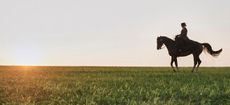 FENYX8 Silhouetted dressage horse and rider training in field at sunset