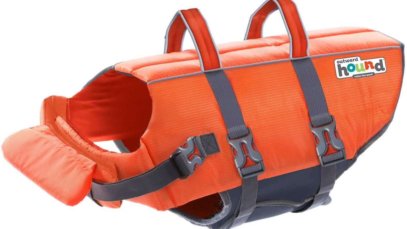 Best dog coats Trendy picks to keep your dog warm and dry PetsRadar