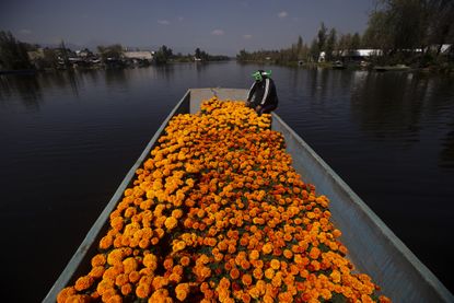 A wrestler on a boat full of flowers.