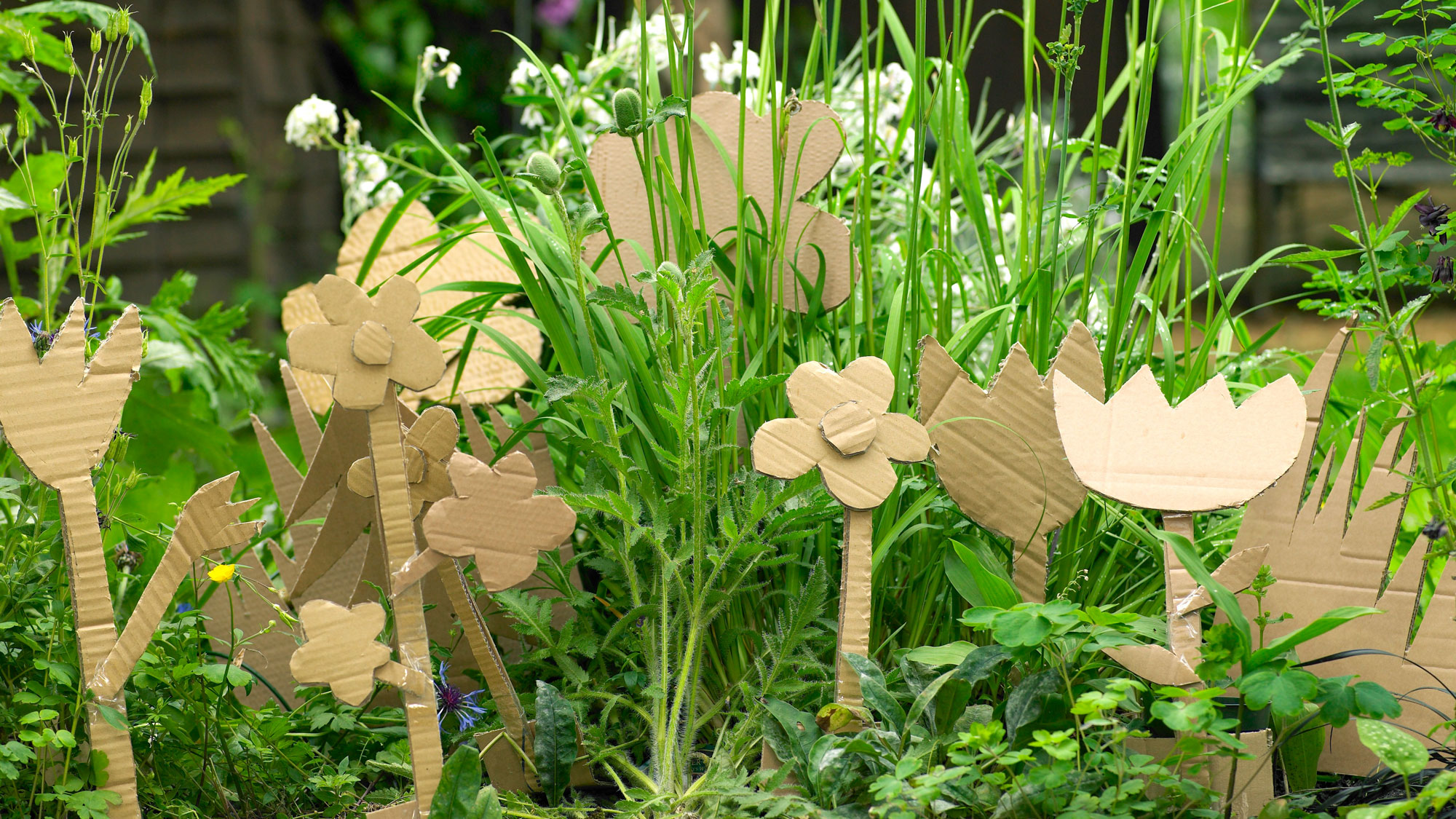  brown cardboard flowers in garden with grass