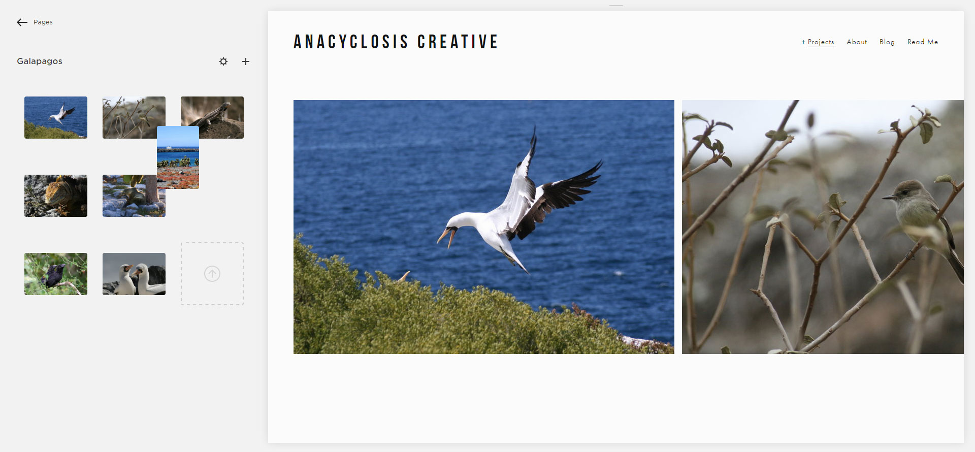 Don't throw everything in your collection at your portfolio; keep it manageable