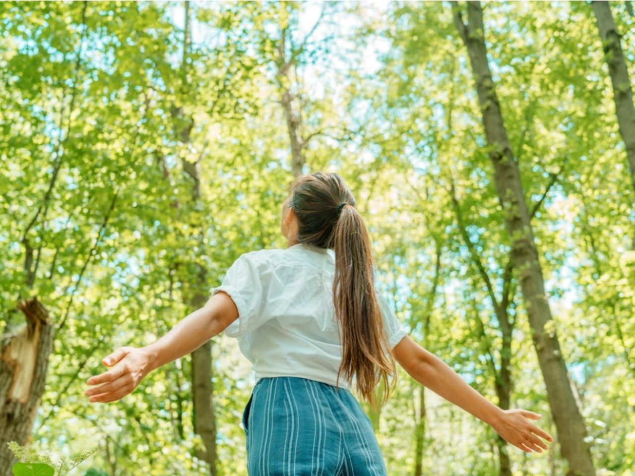 A Woman In The Forest With Tall Trees