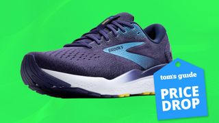 Brooks Ghost 16 running shoe on green background