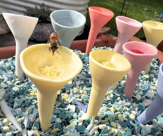 A bee drinks from one of several bee cups