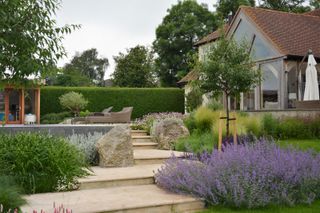 An example of how to landscape a backyard showing lavender on either side of paved steps