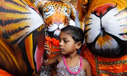 Tiger Dance, India