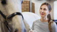 A vet prepares to give a horse a strangles vaccination