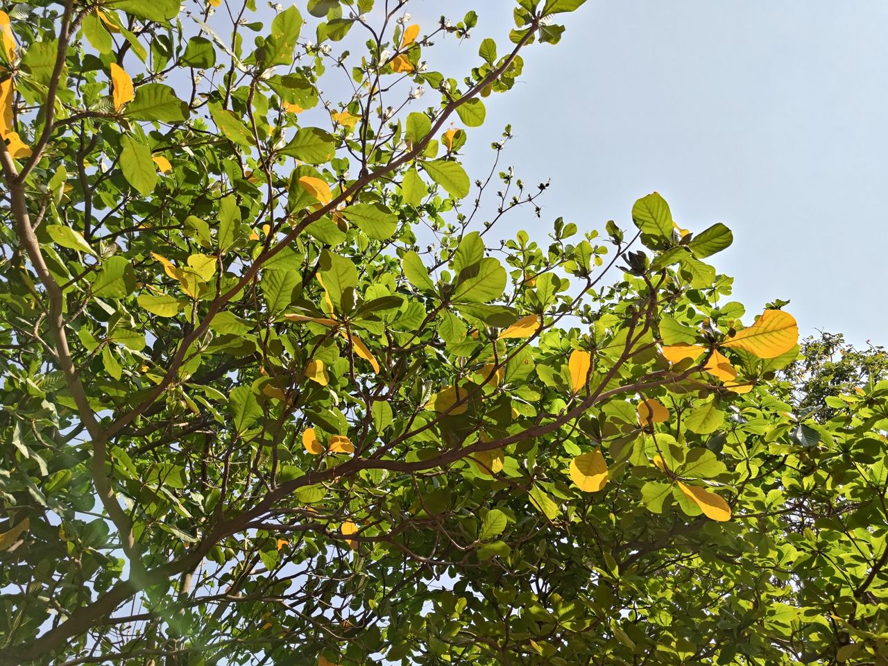 ASUS Zenfone 12 Ultra camera shots