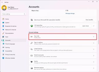 Windows 11 Your Info