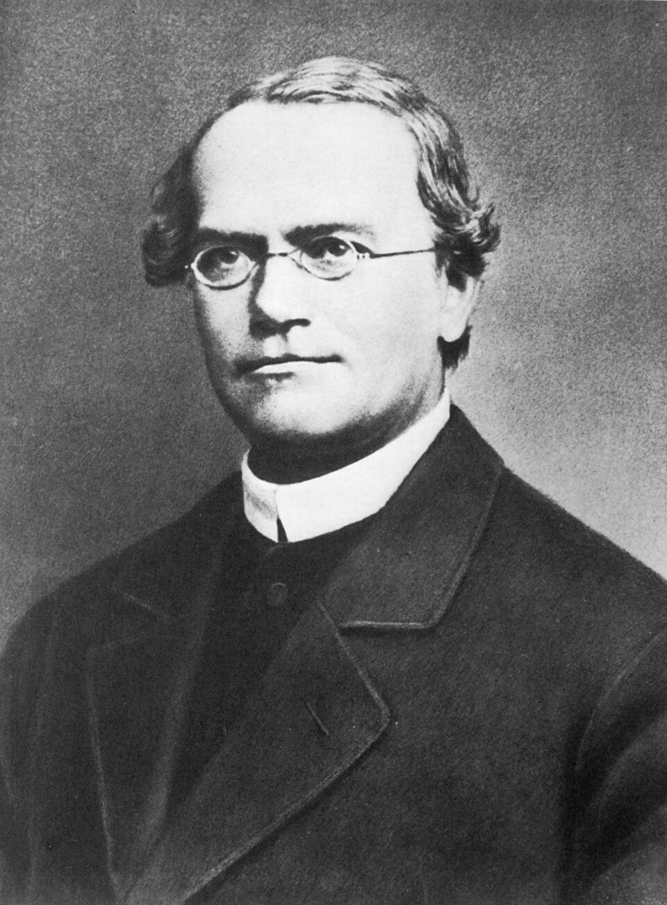 Black and white photo of Gregor Mendel, wearing glasses and a white clerical collar