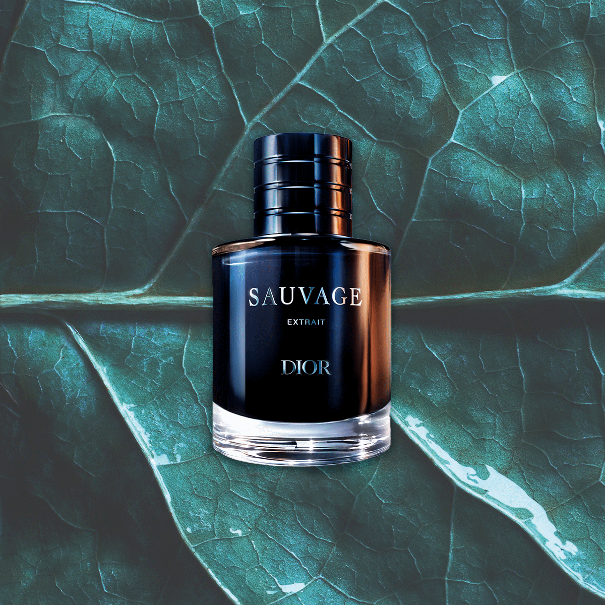 Dior Sauvage Extrait on a flashing gif of leaves, citrus, and wood