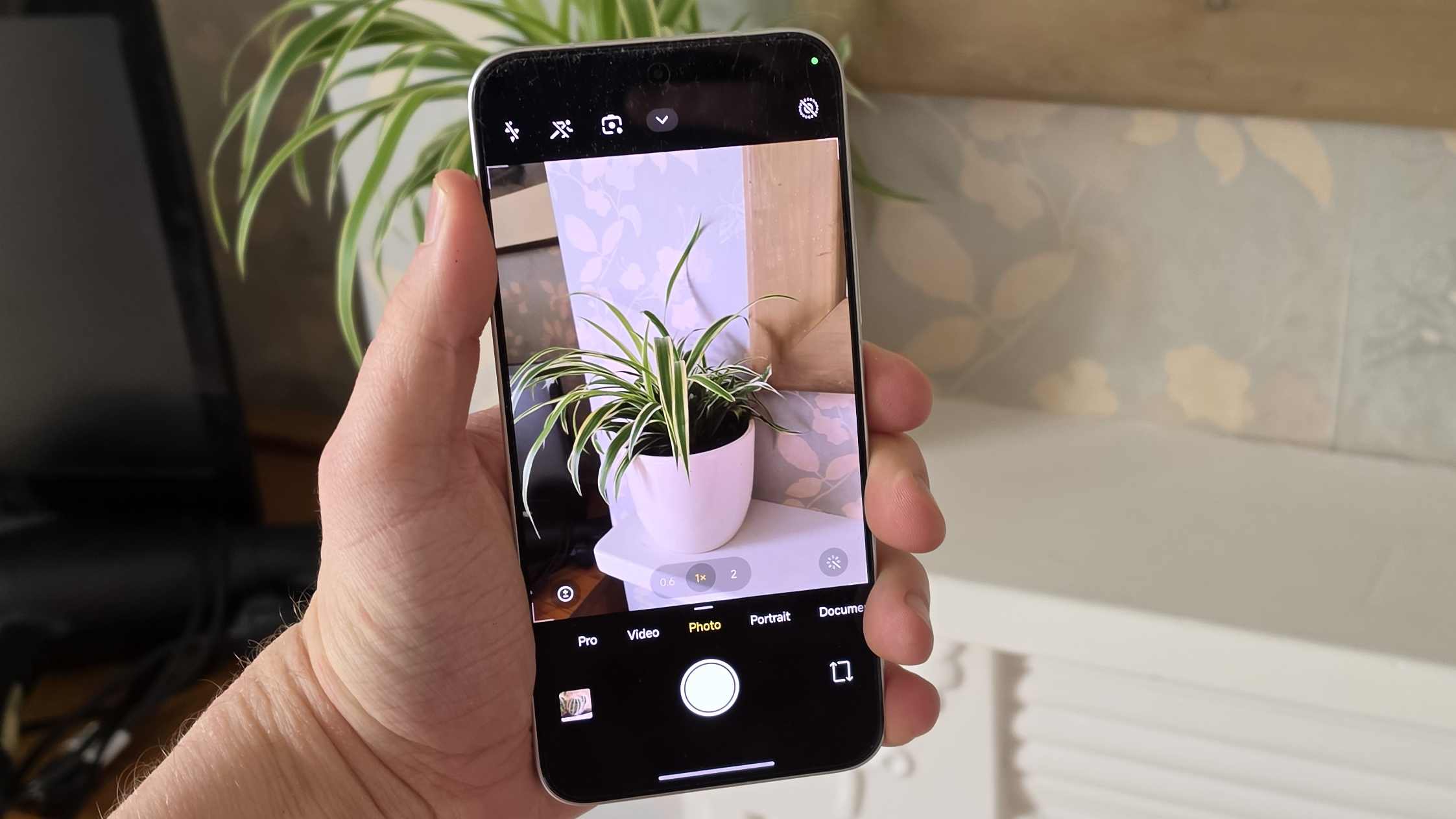 The Poco X8 Pro Max in a man's hand, while it's in the camera app showing a plant pot through the viewfinder.