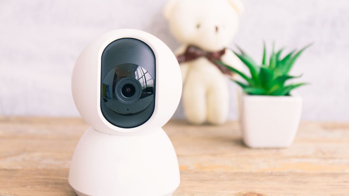 Best pet camera 2020 keep an eye on your pets when they’re home alone T3