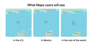 Google's graphic showing Google Maps names in different regions.