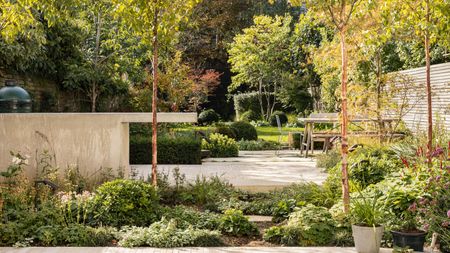 Tiered garden with pale stone and glass patio, pale brick steps and pale concrete outdoor kitchen