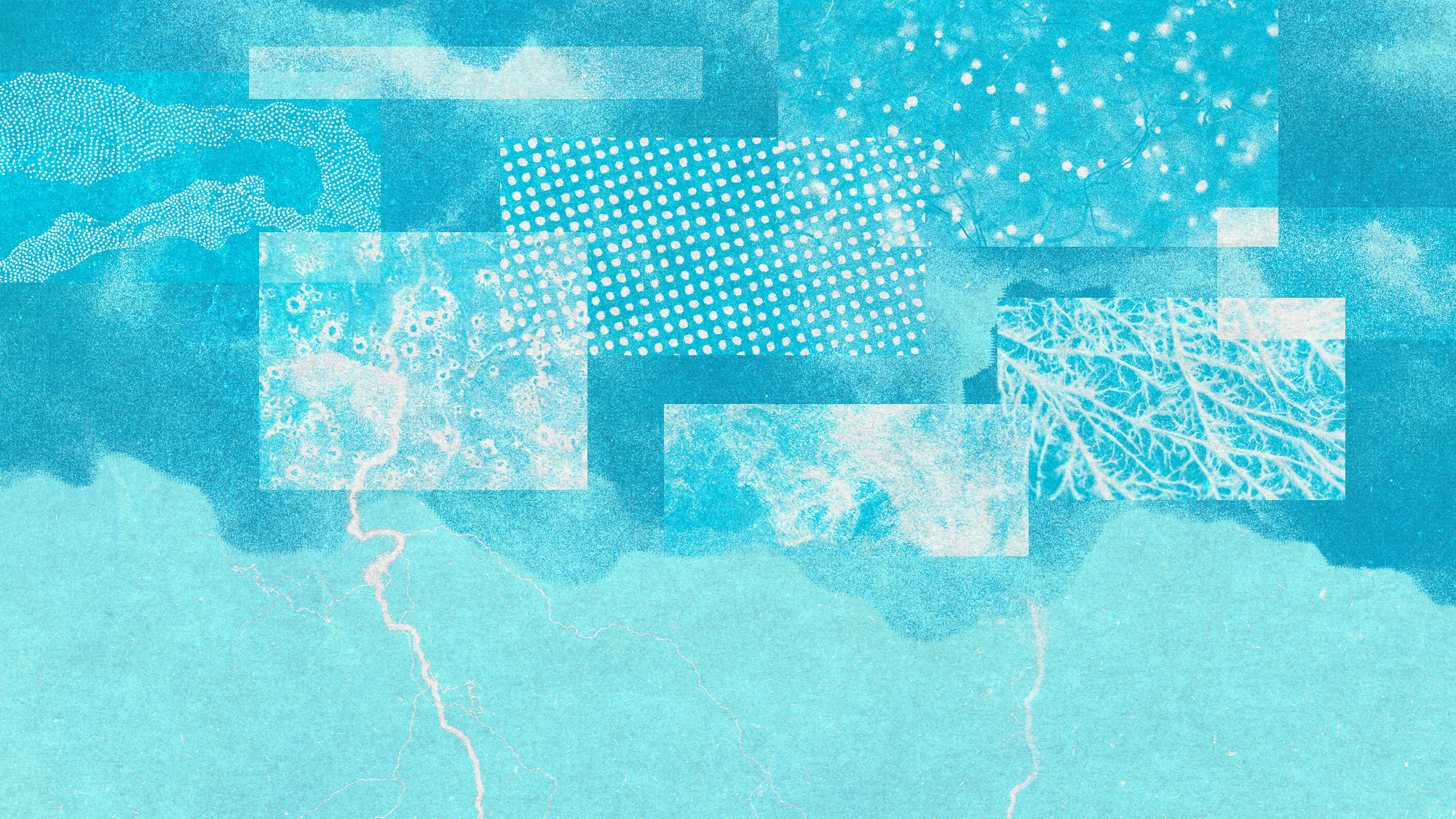 Photo collage of pollens, fungal spores and dust particles inside of a thunder cloud