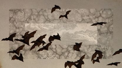 Photo collage of a swarm of bats and a background of abstract images evocative of bacteria under a microscope