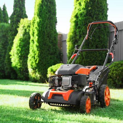red lawn mower on grass in front of tall trees