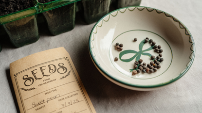 Seed packet and sweet pea seeds in ceramic saucer