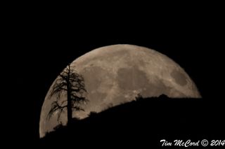 Stargazer Tim McCord of Entiat, Washington captured this amazing view of the