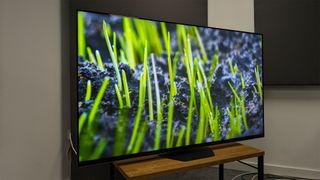 Hisense U8N (65U8N) 75-inch TV on wooden TV bench with plants on screen