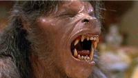 An American Werewolf in London