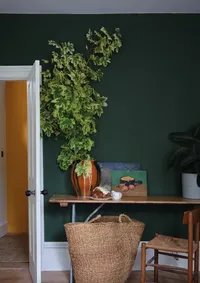 Duck Green — Colour by Nature starting at $110, at Farrow-Ball