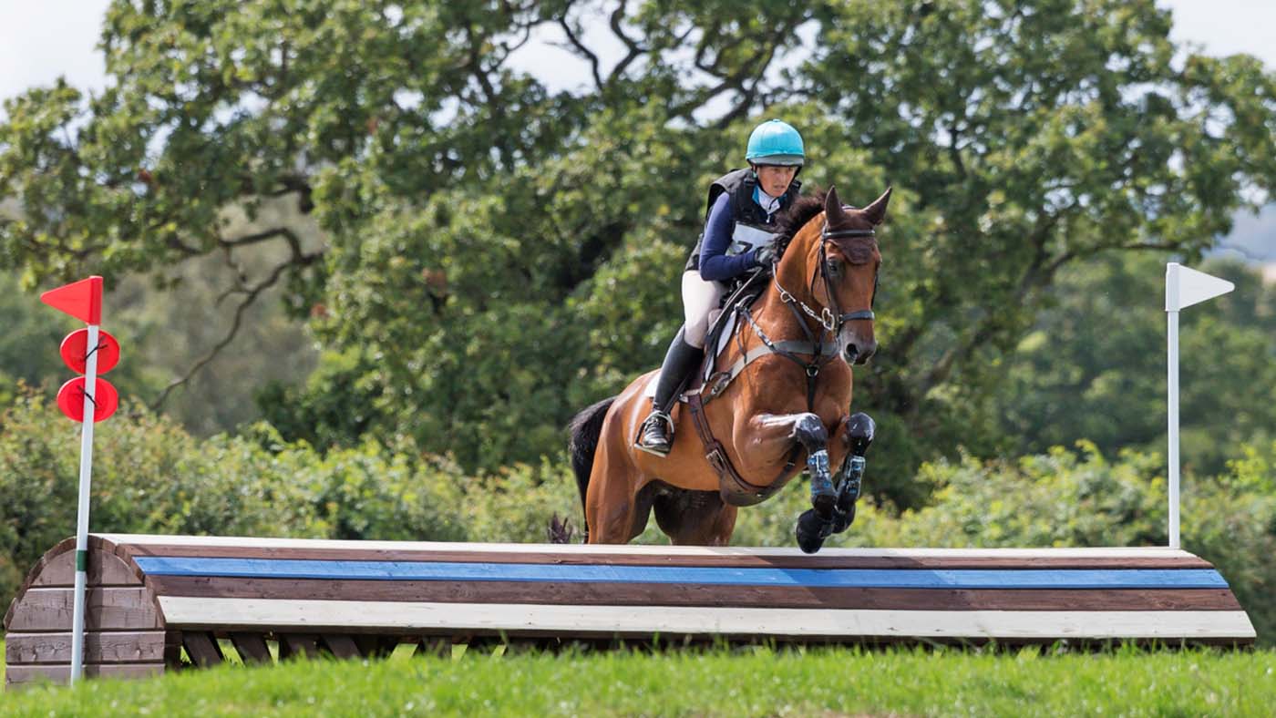 SELINA MILNES RIDING IRON IV