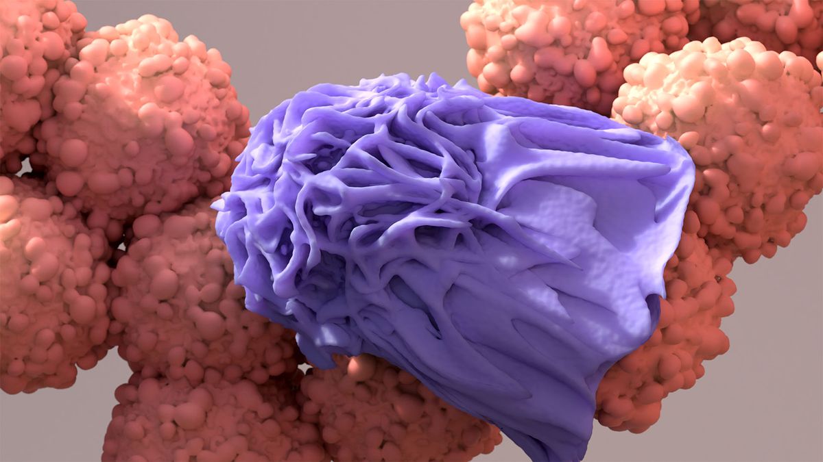 What happens to cancer cells after they're killed by treatments?