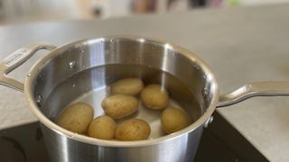 Boiling potatoes in the pan from the Made In 10-piece Stainless Steel Pan Set