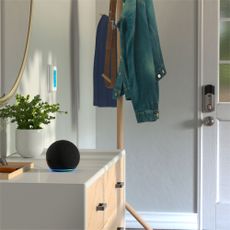 Amazon Echo Dot (4th Gen) on dresser next to coat hanger in white entrance hall below round mirror