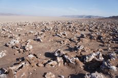 extremophiles, microbiome, microbes, great salt lake
