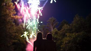 people standing a garden watching fireworks