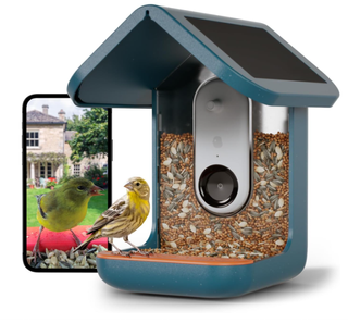 Bird Buddy bird feeder.