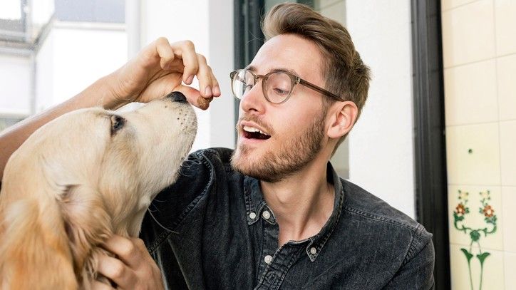 A golden retriever eating healthy dog treats